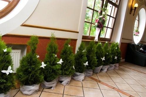 Hotel Jankow Żary Eksteriør bilde